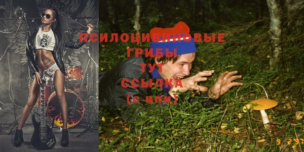2c-b Волосово