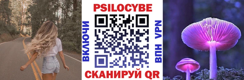 Псилоцибиновые грибы прущие грибы  купить наркотики сайты  Коломна 